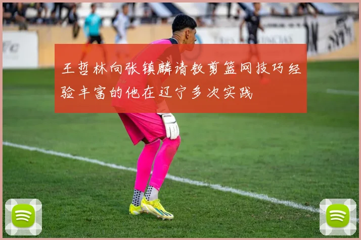 王哲林向张镇麟请教剪篮网技巧经验丰富的他在辽宁多次实践