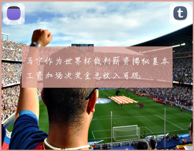 马宁作为世界杯裁判薪资揭秘基本工资加场次奖金总收入可观